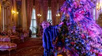at Belvoir Castle This Christmas 18 November 2022 – 1 January 2023 Cinderella will be going to the ball at Belvoir this Christmas as the beautiful Regency castle is transformed […]