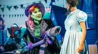 THE BELOVED MUSICAL THE WIZARD OF OZ STARRING THE VIVIENNE as THE WICKED WITCH OF THE WEST AVIVA TULLEY as DOROTHY BENJAMIN YATES as THE SCARECROW NIC GREENSHIELDS as THE COWARDLY LION ALEX BOURNE as THE WIZARD EMILY BULL as GLINDA THE […]